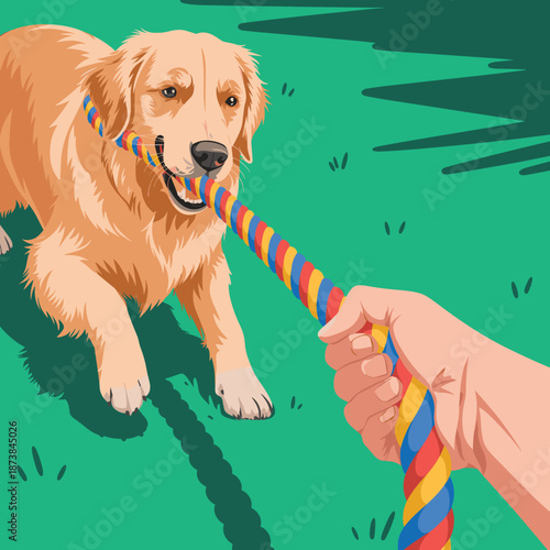 Happy golden retriever plays tug-of-war with a person holding a colorful braided rope toy on a lush green grass lawn.
