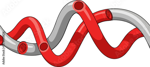 Intertwined red and gray tubes in a wavy, helical pattern