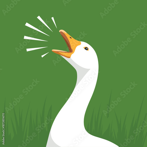 White domestic goose honks with its beak wide open against a solid green background with silhouettes of grass in the foreground.