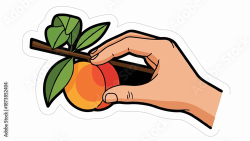 Hand picking ripe fruit from a branch with leaves