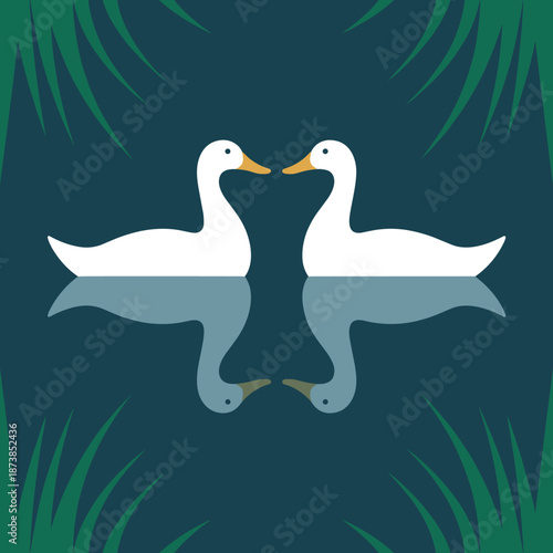 Two white ducks face each other in a dark pond with their reflections visible, creating a symmetrical and romantic scene in nature.