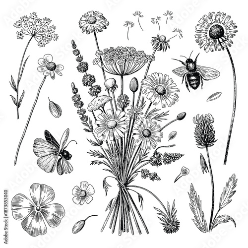 Historical collection of ornate vintage keys and heavy iron padlocks including heart shapes and a combination lock in detailed woodcut style.