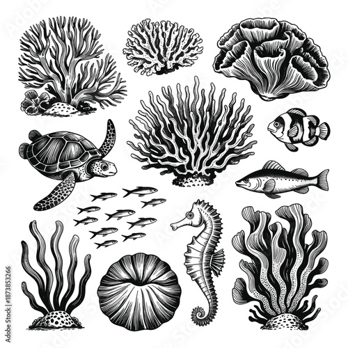 Historical navigation instruments including various compasses, a nautical map, hourglass, and drafting tools in a classic woodcut style.