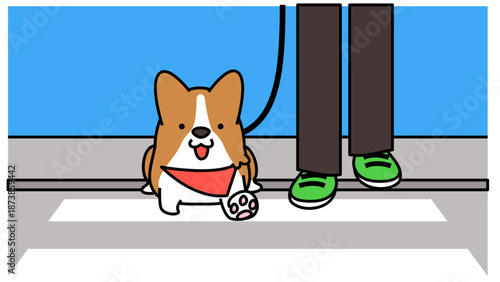 横断歩道で飼い主と並んで立つコーギーのかわいいイラスト