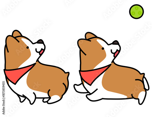 ボールを見上げる2匹のコーギーのイラスト