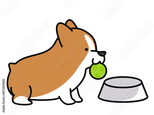 食後にボールをくわえて遊びに誘う元気なコーギーのイラスト