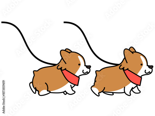 赤いバンダナを巻いて並んで散歩する2匹のコーギーのイラスト
