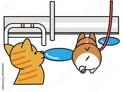 雨上がりの散歩中に水たまりを覗き込むコーギーと猫のイラスト