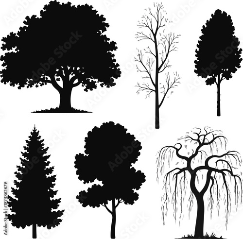 Black tree silhouettes collection, diverse deciduous and coniferous isolated vector set
