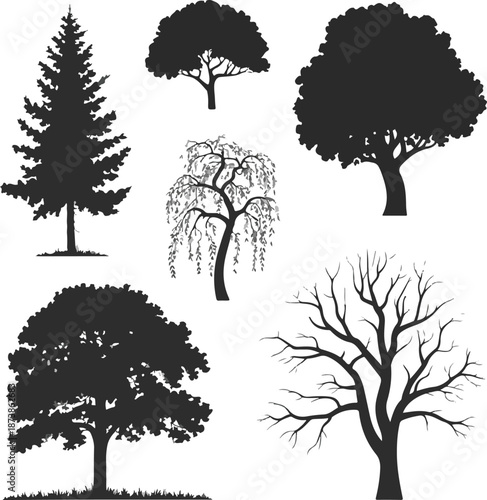 Black Vector Tree Silhouettes Set, Deciduous and Coniferous Trees Collection Isolated on White