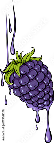 Juicy blackberry berry with dripping juice drops. Close-up view. Summer berries. Organic food. Simple vector color illustration with outline in hand drawn style isolated on white