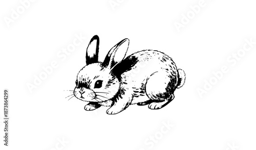 Whimsical Cute Grey Rabbit Watercolor Cartoon Illustration on White Background