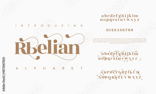Elegant Font Uppercase Lowercase and Number. Classic Lettering Minimal Fashion Designs. Typography modern Serif fonts regular decorative vintage concept. vector illustration