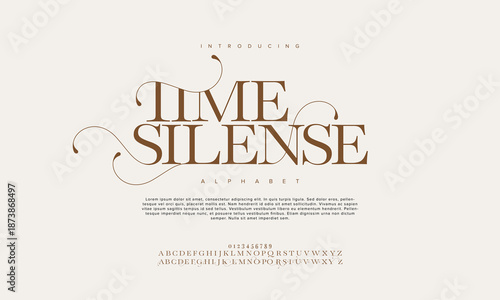 Elegant Font Uppercase Lowercase and Number. Classic Lettering Minimal Fashion Designs. Typography modern Serif fonts regular decorative vintage concept. vector illustration