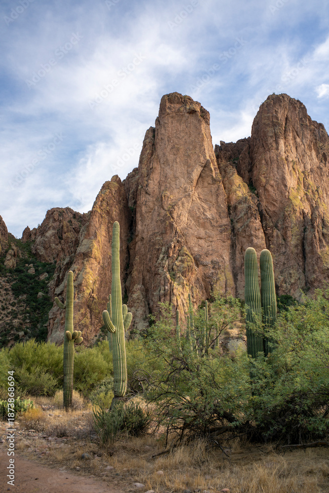 Naklejka premium Rugged mountainous landscape with saguaro cactus vertical