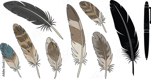 Big set of bird feathers design. fluffy swan. soft bird plumage set. Pen icons design. set of bird feathers design