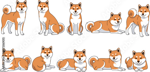 Adorable Set of Shiba Inu Dog Illustrations in Various Poses Including Standing Sitting and Lying Down Isolated on White Background for Pet Lovers Design