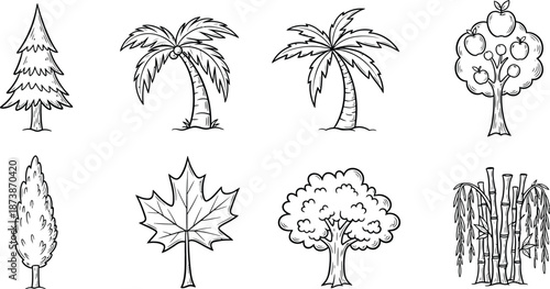 6 tree's line art on white background, palm, oak, pine, Coconut, Banyan tree.