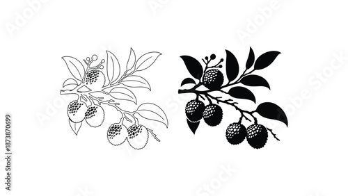A colorful illustration of a lychee branch in different styles and colors