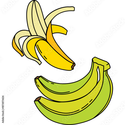 Peeled Banana and Green Bananas