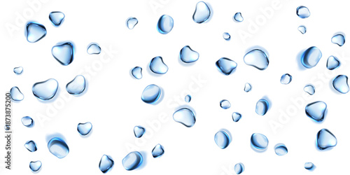 Water droplets transparent water drops clear drops isolated white background water texture template background vector