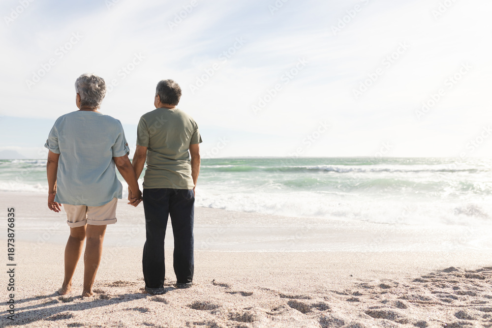 Fototapeta premium Multiracial senior couple holds hands, views sea from beach rear