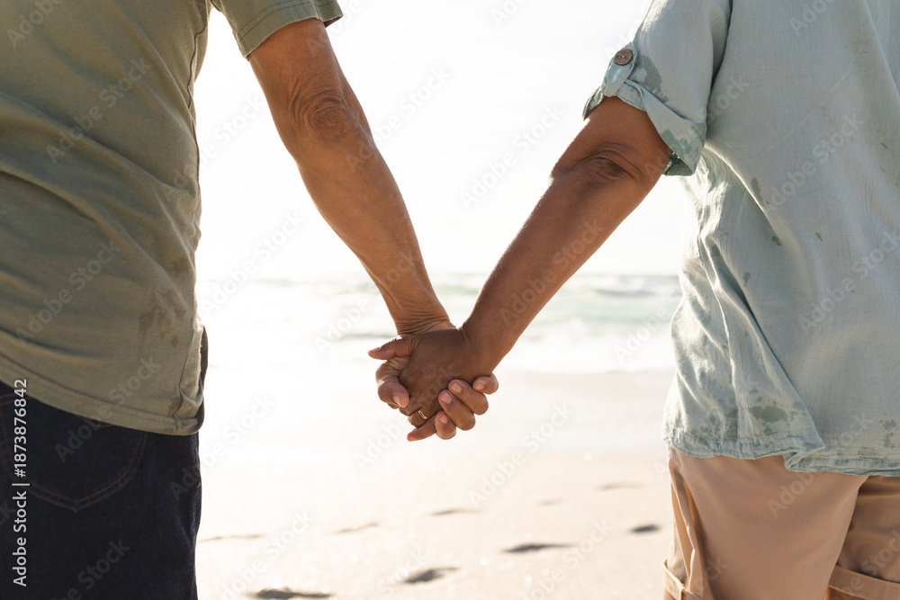 Fototapeta premium Midsection rear view of senior multiracial couple holding hands at beach on sunny day