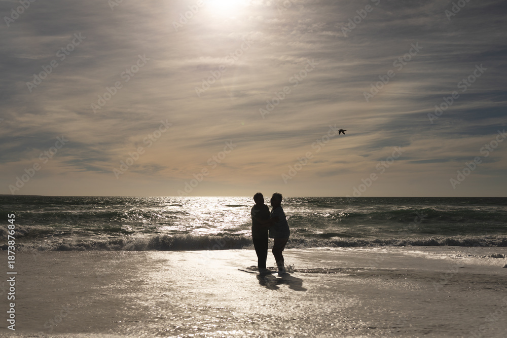 Fototapeta premium Carefree retired multiracial senior couple enjoying sunny day on shore at beach against sky