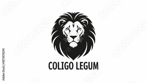 Majestic Lion Head Logo Design.