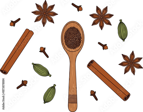 Hand drawn spice illustration with cinnamon cloves cardamom and star anise, aromatic cooking ingredients collection isolated on white background