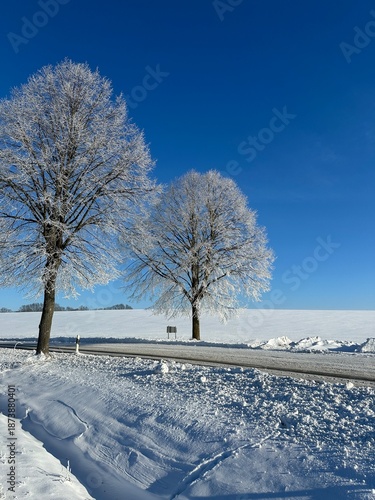 Verschneite Landstraße