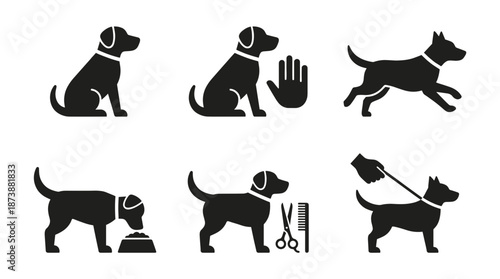Dog training and care icon set. Black silhouette vector symbols of goldendoodle sitting walking on leash grooming and eating. Pet service glyph collection isolated on white background.