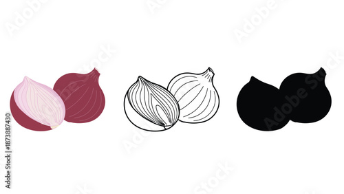 An illustration of different onion styles and colors on a white background