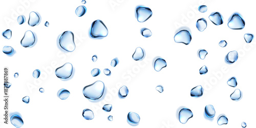 Water droplets transparent water drops clear drops isolated white background water overlay texture background vector