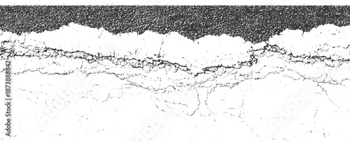 Close-up monochrome texture of cracked earth or asphalt with granular detail and a distressed, weathered appearance