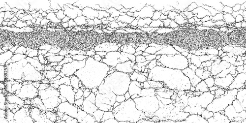 Abstract black and white texture resembling cracked earth or a fractured surface with a dense network of fine lines and irregular polygonal shapes creating a distressed and broken appearance