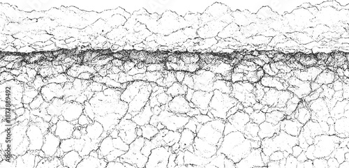 Stark black and white abstract texture resembling cracked earth or a fractured surface with a dense, granular layer at the bottom