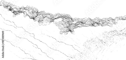 Intricate black and white abstract topographic contour lines forming a detailed textured pattern resembling geological strata or a topographical map