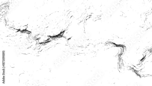 Evocative monochrome abstract with flowing, organic lines suggesting geological formations or natural erosion patterns rendered with a delicate, textured touch