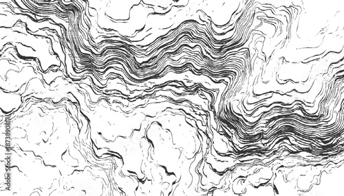 Detailed abstract topographic contour lines forming a complex, layered pattern with a sense of depth and organic flow in black and white