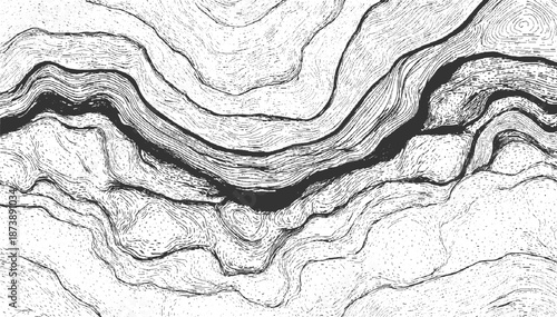 Organic monochrome abstract background with swirling lines and a dark central channel creating a fluid, topographical map-like appearance