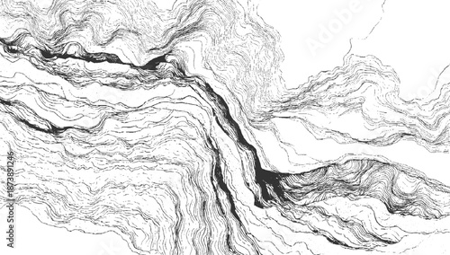 Organic abstract flowing lines in black and white creating a sense of movement and depth, resembling rivers, veins, or topographical maps