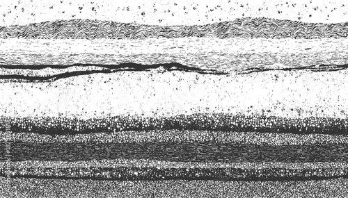 Abstract monochrome textured background with horizontal layered patterns and granular details creating a geological cross-section effect