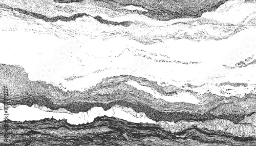 Abstract black and white textured landscape with layered wavy lines and organic shapes pattern