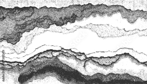 Black and white topographic map style abstract landscape with swirling lines and textured contours pattern