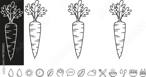 Carrot vegetable line icon set illustration, organic healthy food nutrition symbols collection, minimal outline design isolated