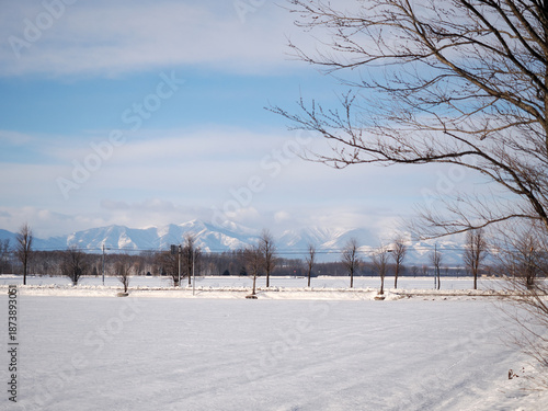 Wallpaper Mural 音更町からみた日高山脈 Torontodigital.ca