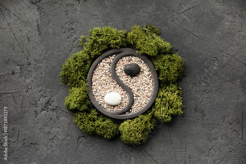 Vászonkép Yin Yang Zen Garden with Green Moss on Dark Stone Background