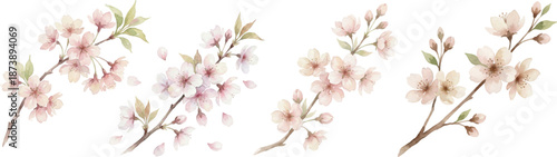 cherry blossom watercolor set