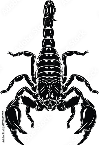 Scorpion Arachnid Top View Black and White Vector